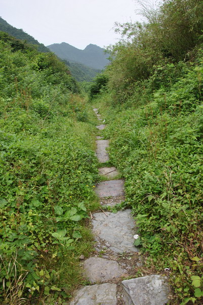 20120609ģǱŵ_332_С.jpg