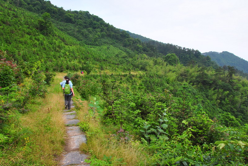 20120609ģǱŵ_341_С.jpg