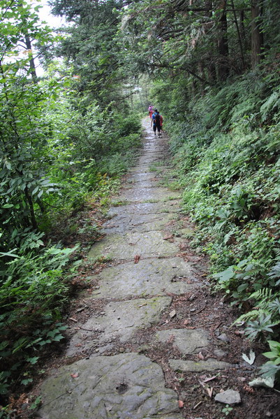 20120609ģǱŵ_342_С.jpg