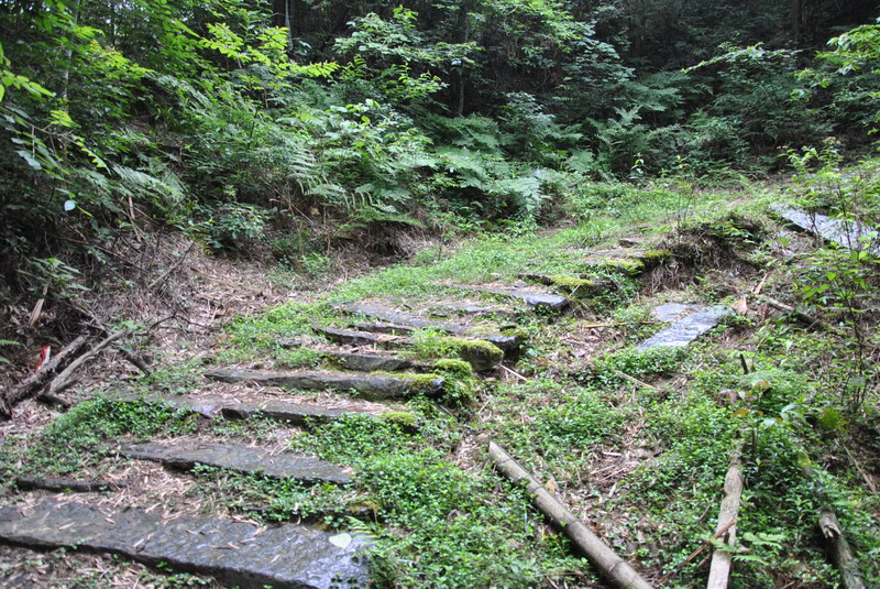 20120609ģǱŵ_343_С.jpg