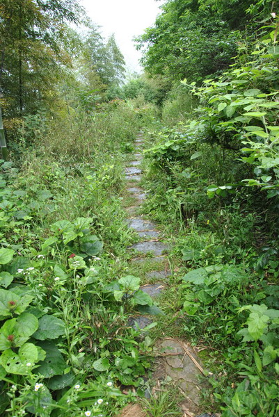 20120609ģǱŵ_346_С.jpg