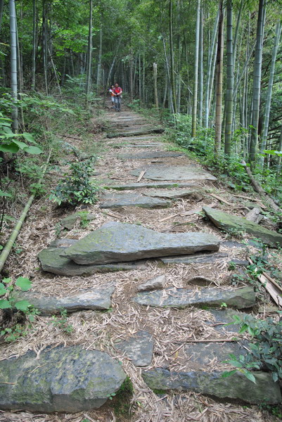 20120609ģǱŵ_345_С.jpg