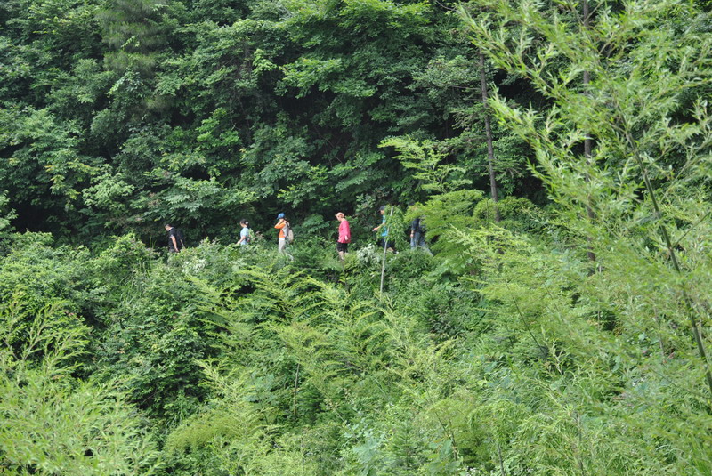 20120609ģǱŵ_349_С.jpg