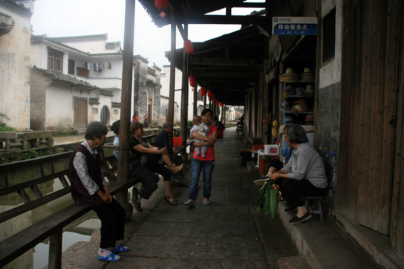 ŵ 204_.jpg