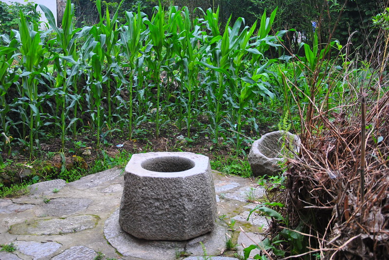 20120609ģǱŵ_269_С.jpg