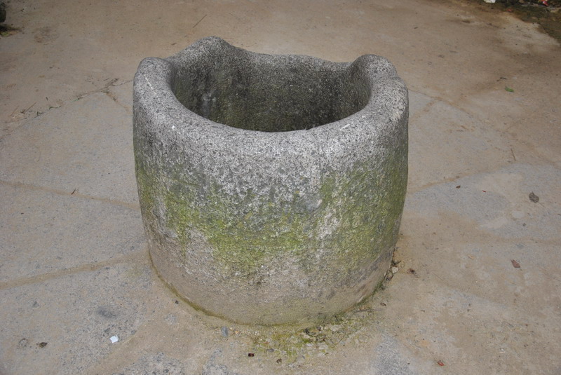20120609ģǱŵ_257_С.jpg
