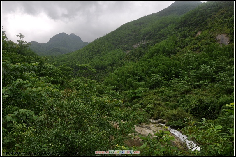 dsc_0616-1.jpg