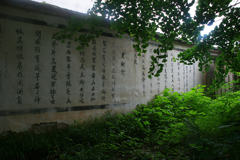 ŵ 185_.jpg