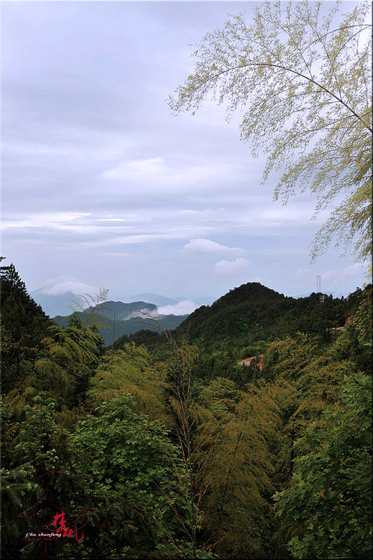 ţ1.jpg