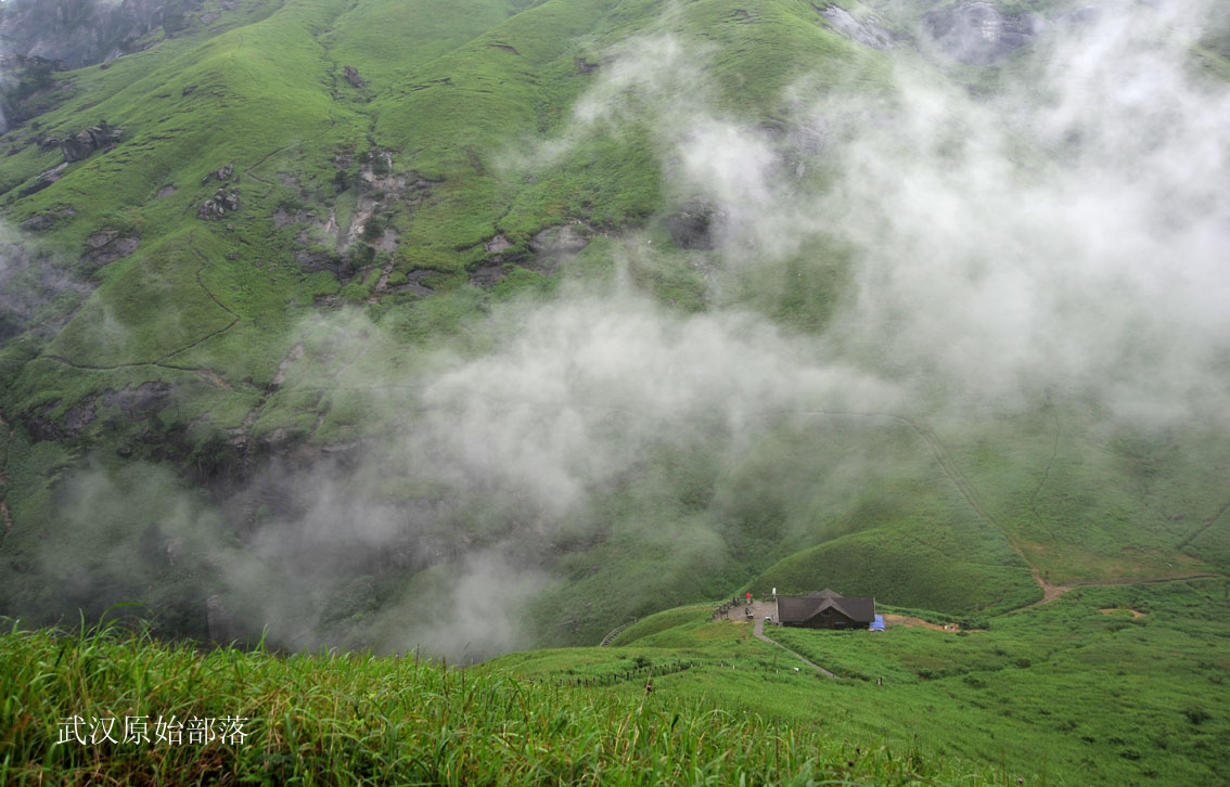 yjw_4585-1.jpg