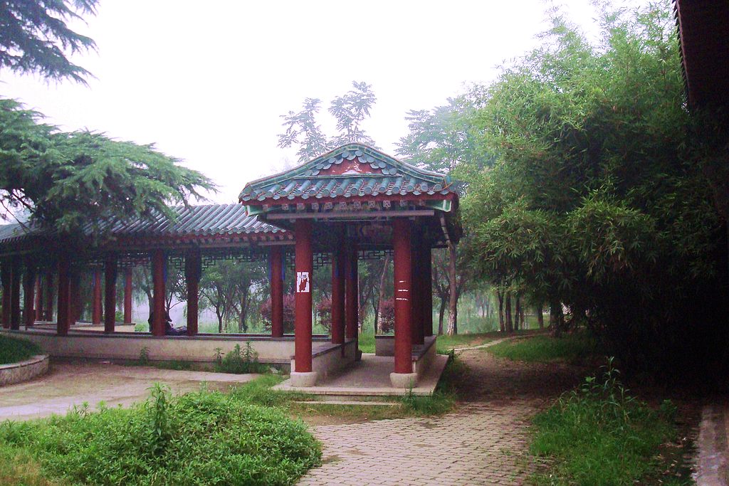 dsc00922.jpg