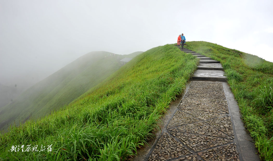yjw_4632-1.jpg