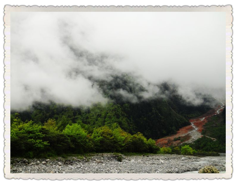 dsc00799_.jpg