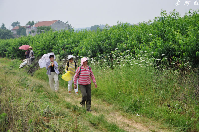 dsc_0867.jpg