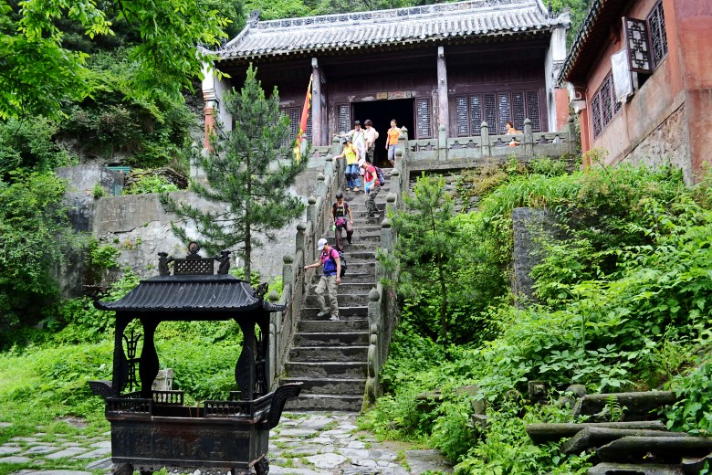 456 427_conew1.jpg