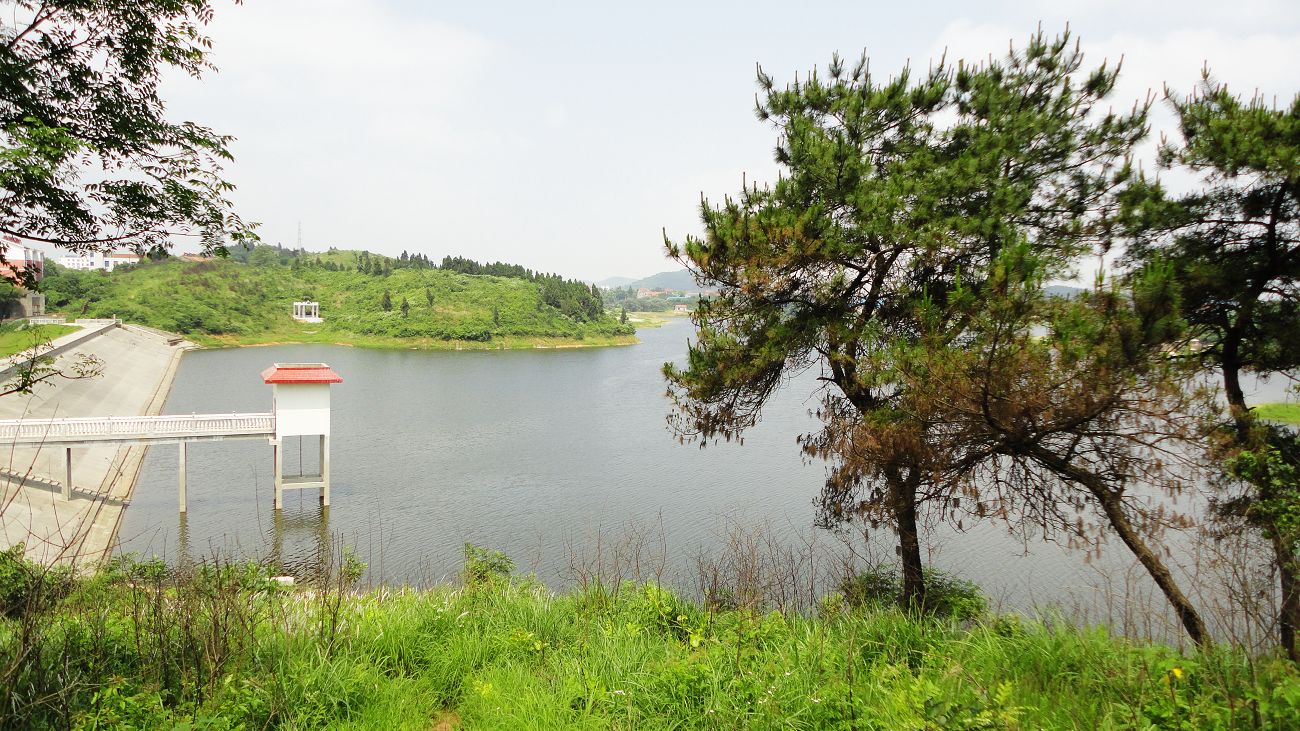 neo_img_dsc07077.jpg