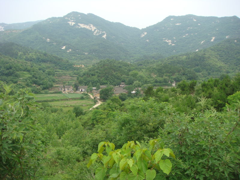 ݸ16.jpg