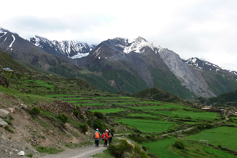 p1210475.jpg