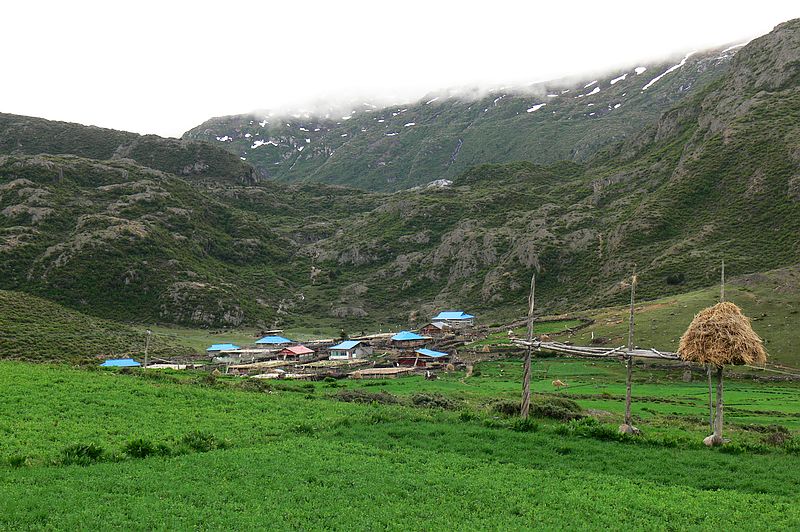 p1210479.jpg
