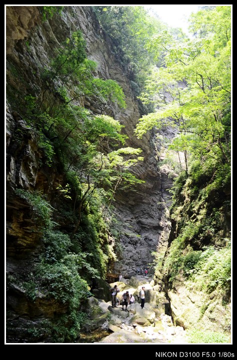 456 118_conew1.jpg