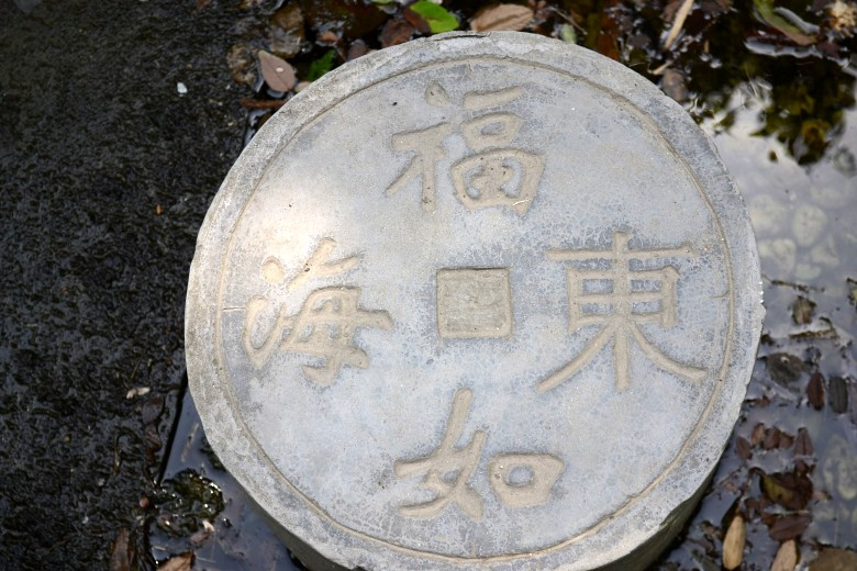 456 033_conew1.jpg