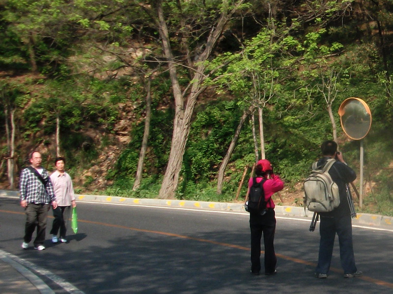 dscf0329.jpg