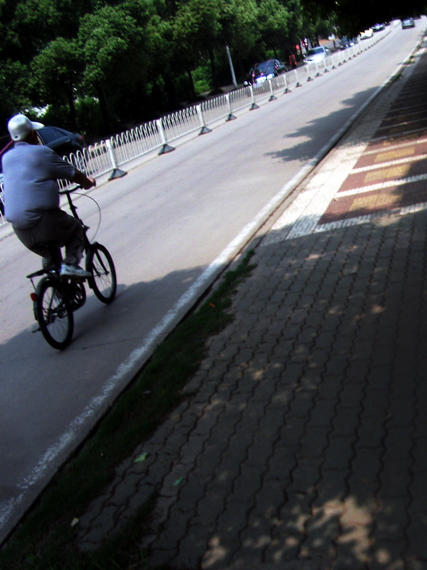 dscf0174.jpg