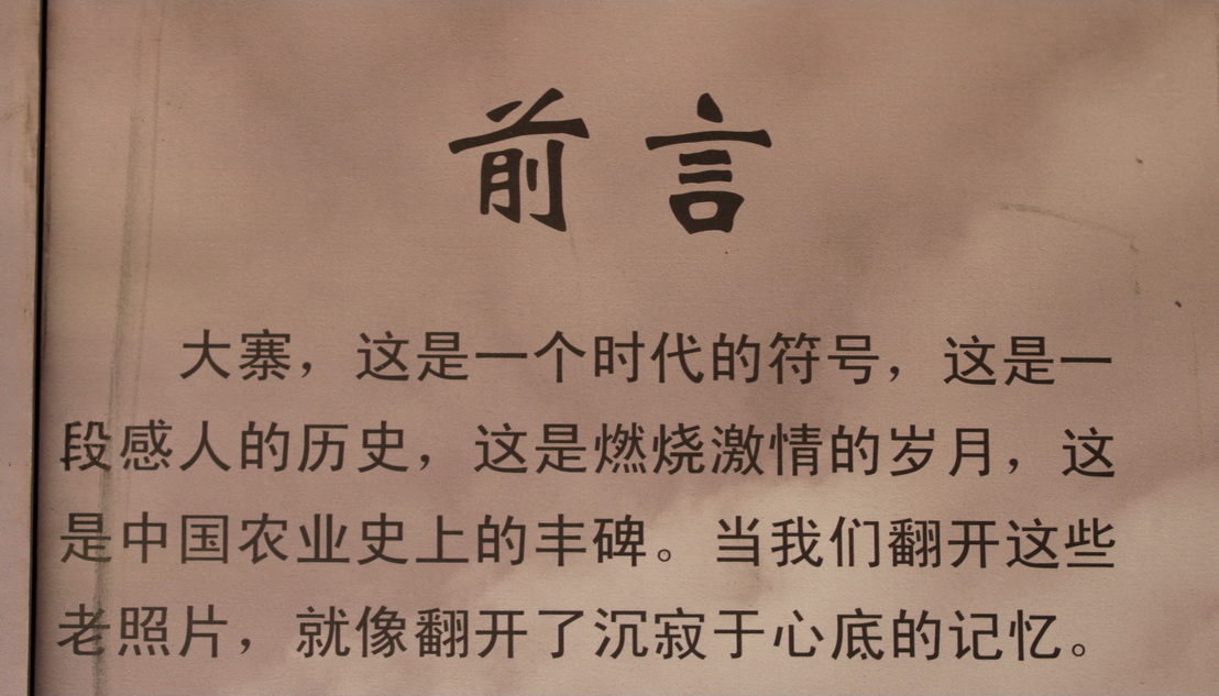 z2.jpg