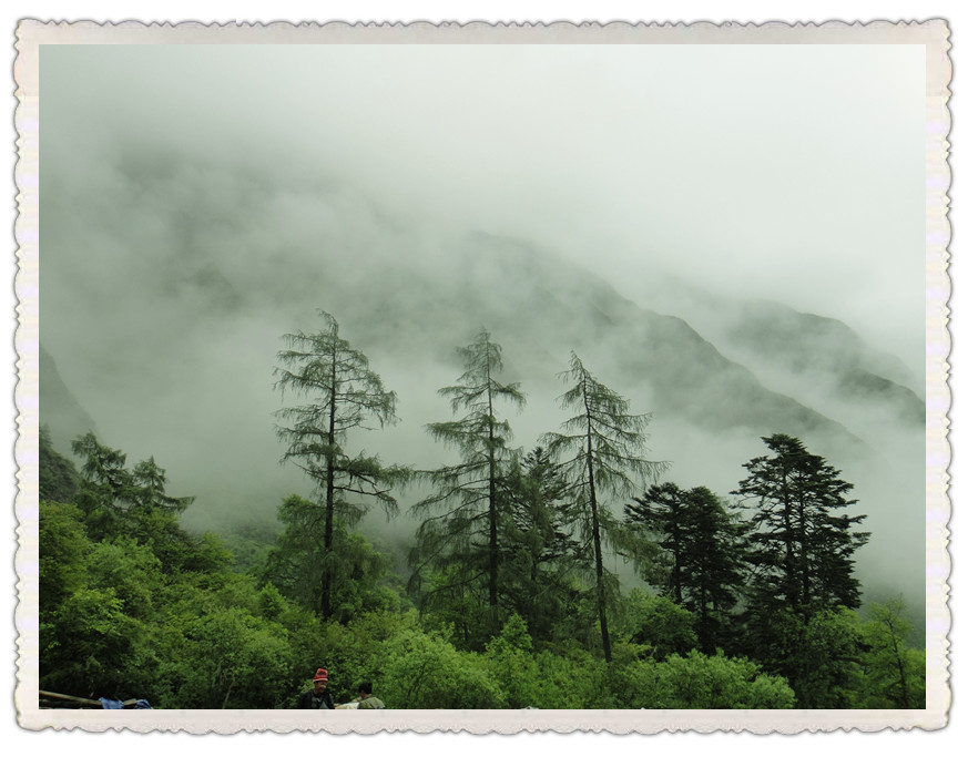 dsc00761_.jpg