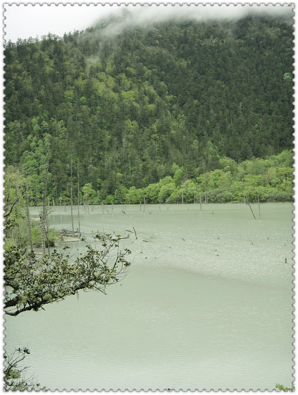 dsc00830_.jpg