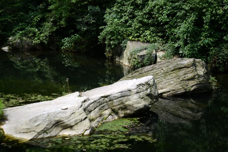 456 036_conew1.jpg