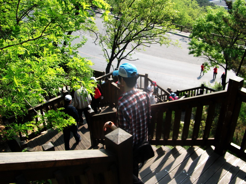dscf0331.jpg