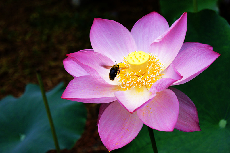 dsc00147_副本.jpg
