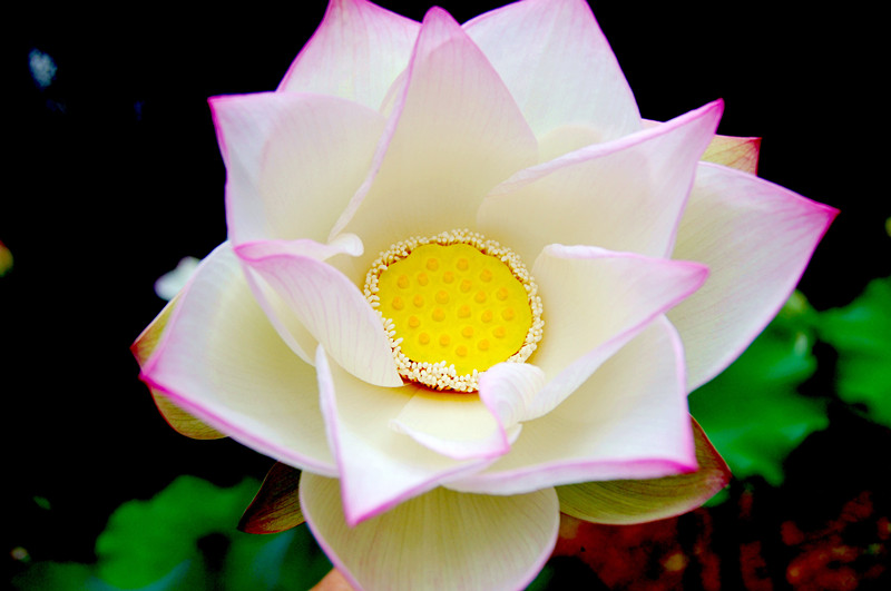dsc00169_副本.jpg