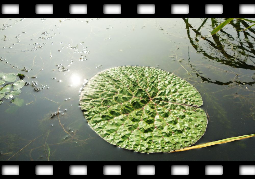 neo_img_dsc07910.jpg