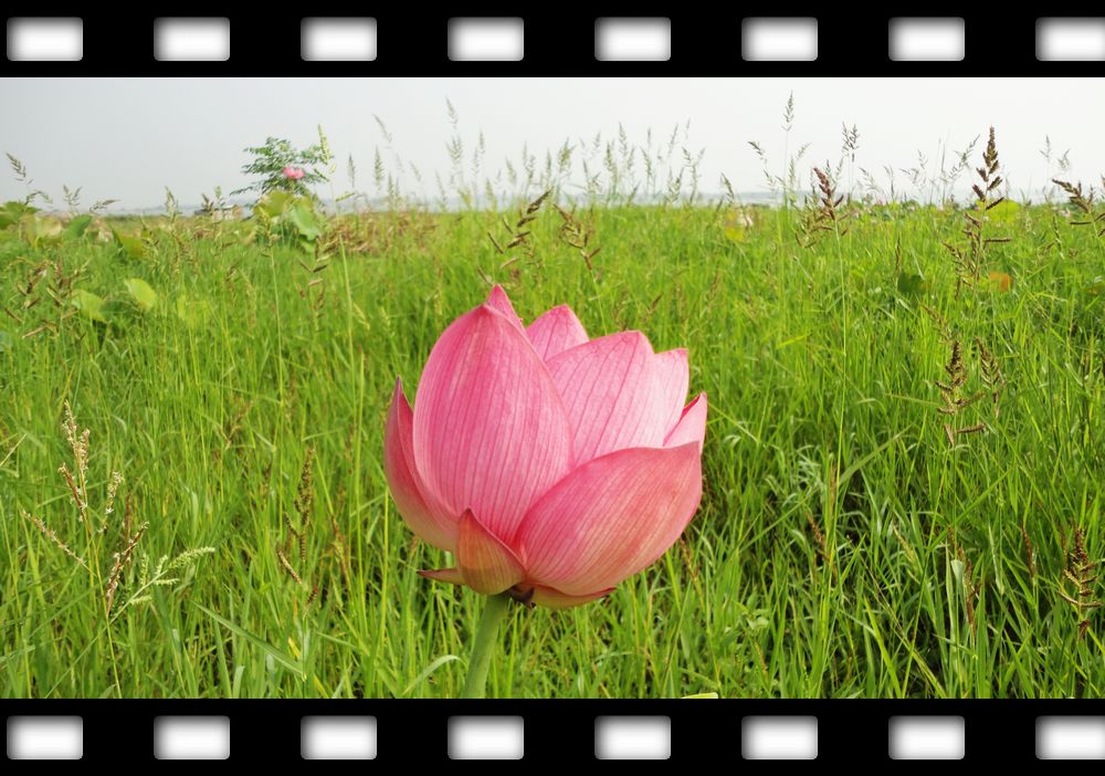 neo_img_dsc07928.jpg