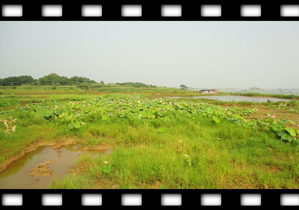 neo_img_dsc07934.jpg