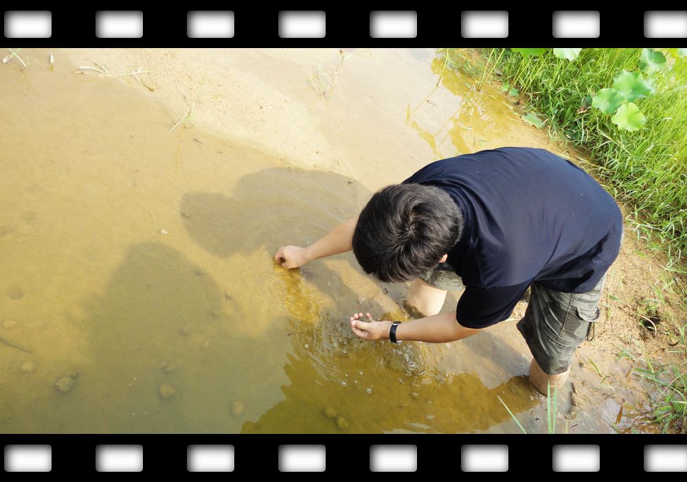 neo_img_dsc07945.jpg