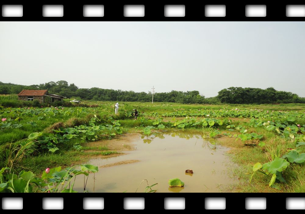 neo_img_dsc07951.jpg