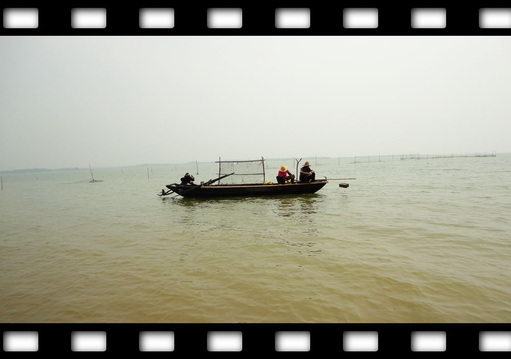neo_img_dsc08093.jpg