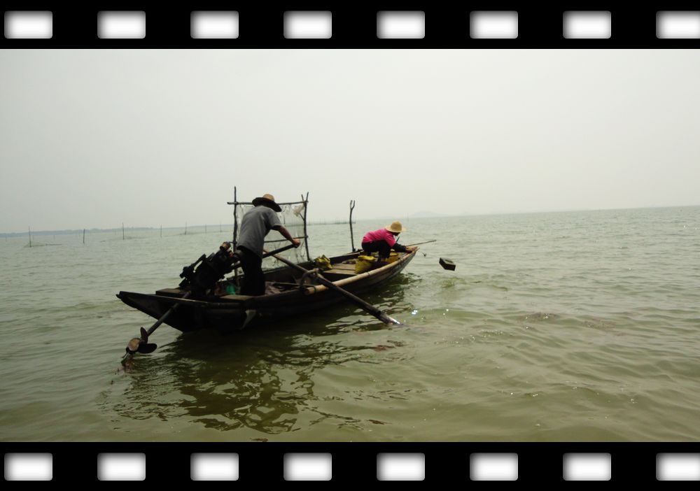 neo_img_dsc08101.jpg