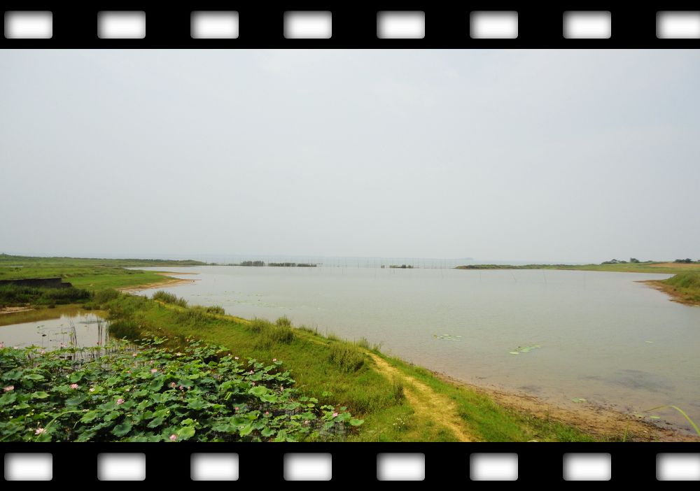 neo_img_dsc08120.jpg