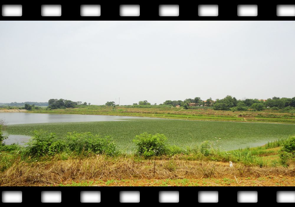 neo_img_dsc08125.jpg