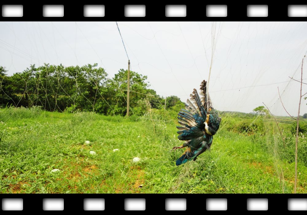 neo_img_dsc08122.jpg