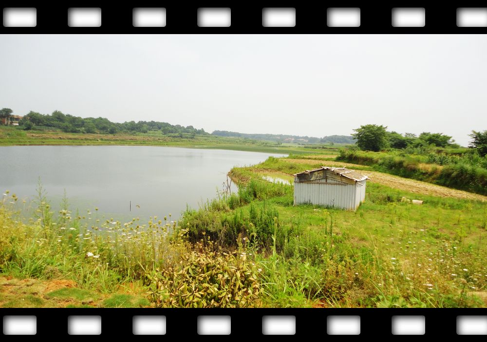 neo_img_dsc08133.jpg