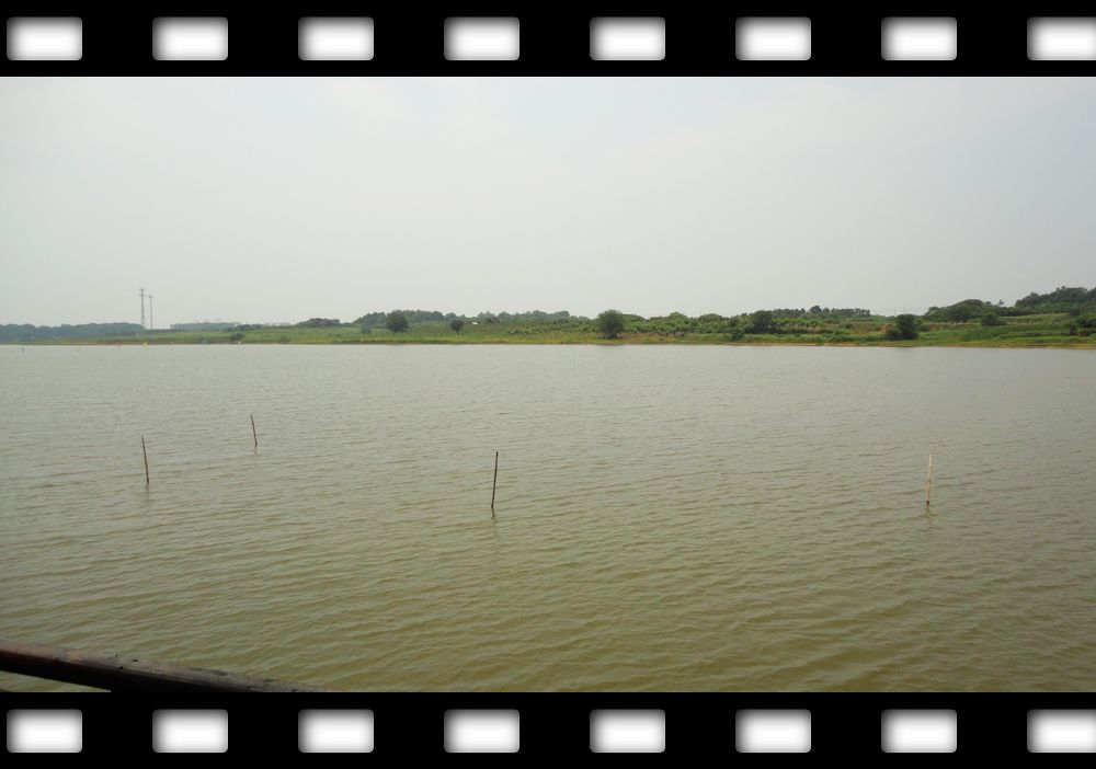neo_img_dsc08134.jpg