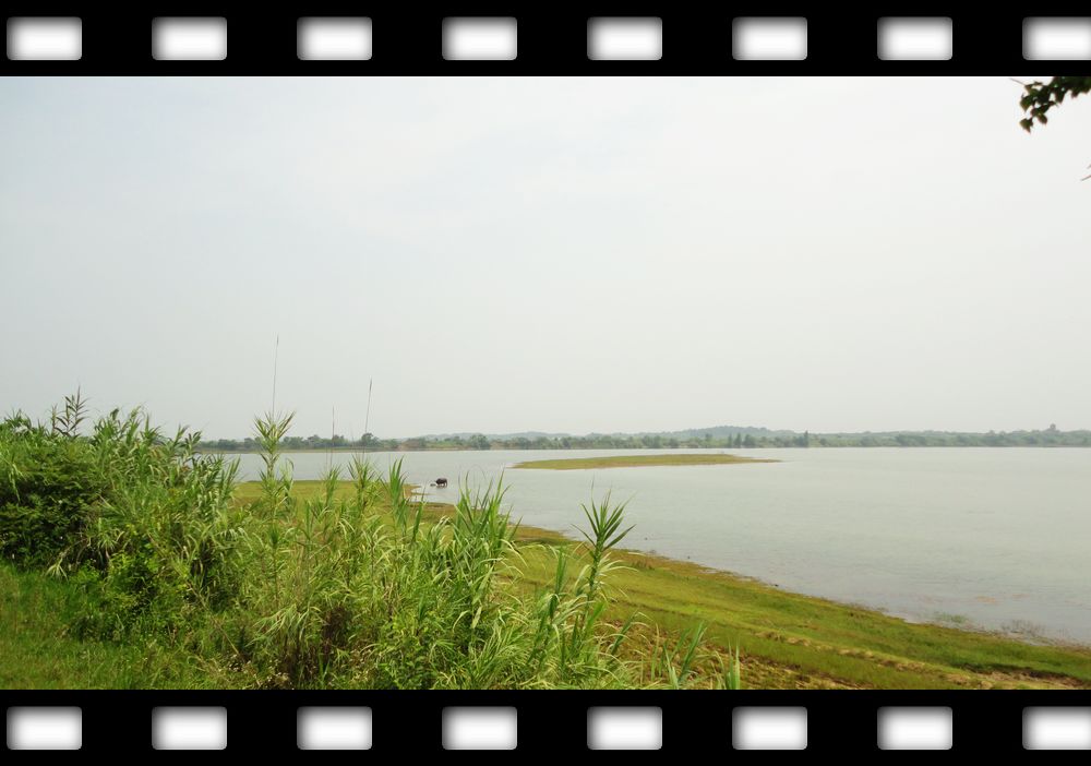 neo_img_dsc08157.jpg