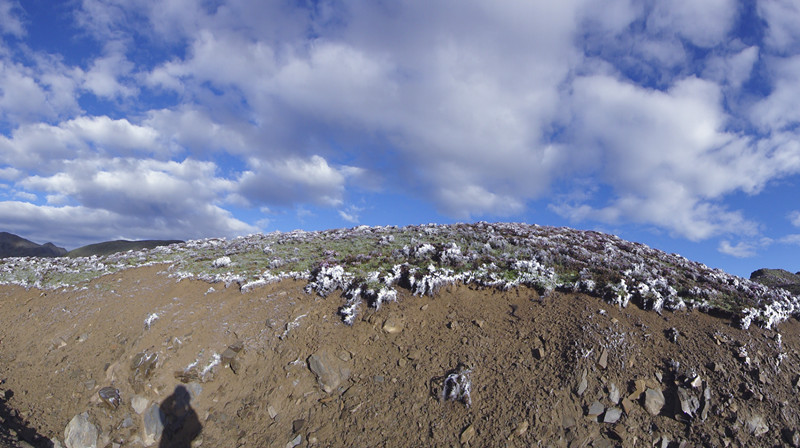 dsc00967_.jpg