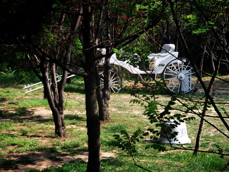 dscf0345.jpg