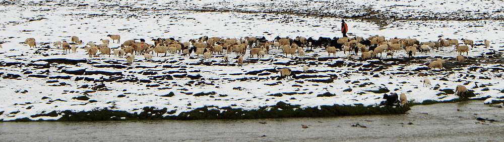 dsc_0925.jpg